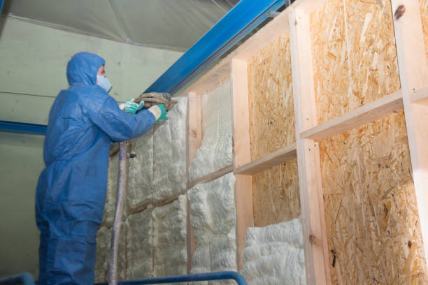 Best Energy-efficient Insulation  in Winchester, TN